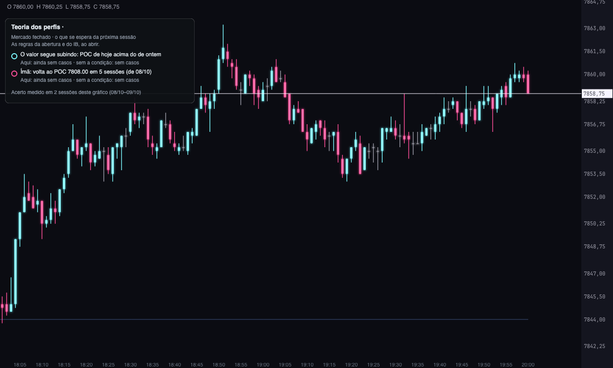 Gráfico de candles de 1 minuto do ES com a Teoria dos perfis: a caixa de leitura no canto superior esquerdo, com o mercado fechado